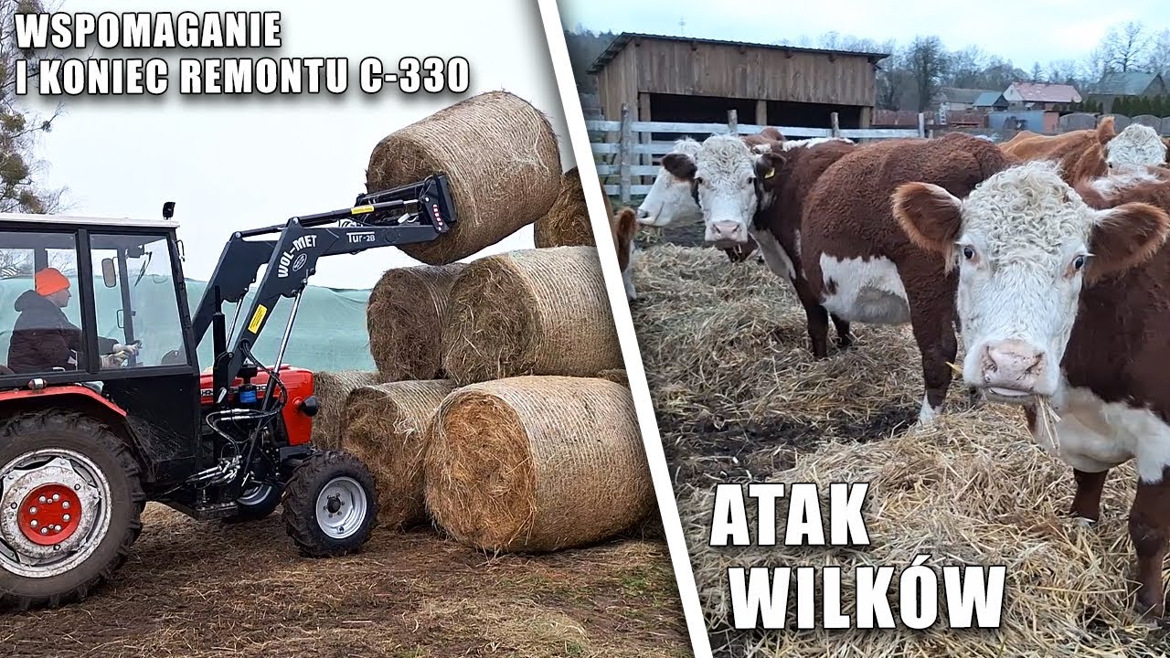 Wspomaganie i koniec remontu C-330 / Atak wilków