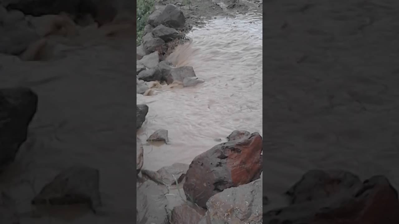 امطار الخير على بيت البتول حبيش