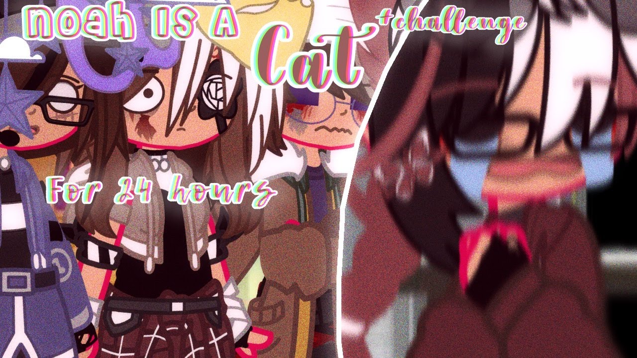 Noah is a Cat [+ Challenge] for 24 Hours | 11+ [Little bit-] | P. Noachael + Tormentors