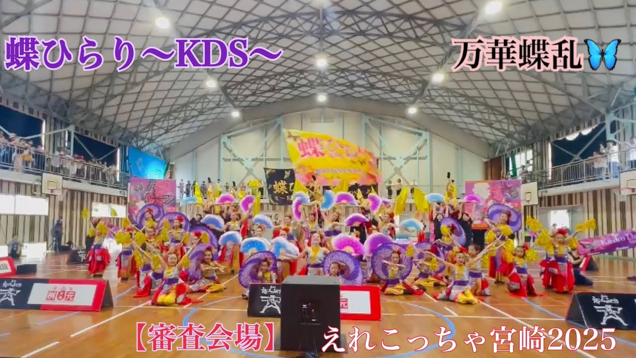 蝶ひらり〜KDS〜🦋　えれこっちゃ宮崎2025 金賞🥇　※審査会場　【万華蝶乱】