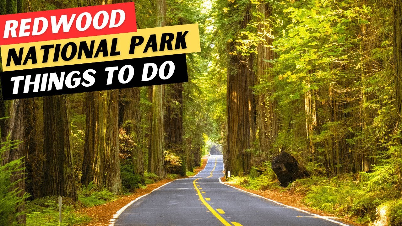 20 AMAZING Things To Do In Redwood National Park | Redwood National and State Parks Travel Guide