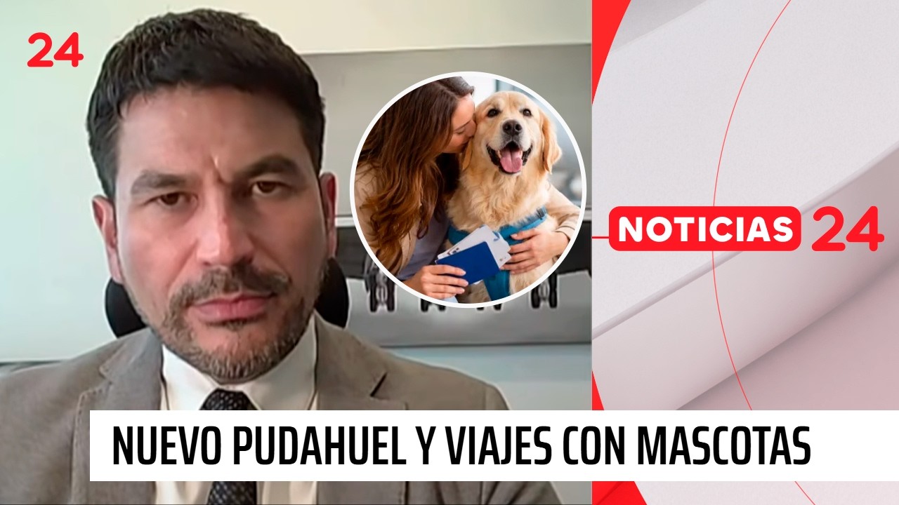 Viajes con mascotas: &ldquo;Lo m&aacute;s importante es cumplir con un certificado zoosanitario de exportaci&oacute;n&rdquo;