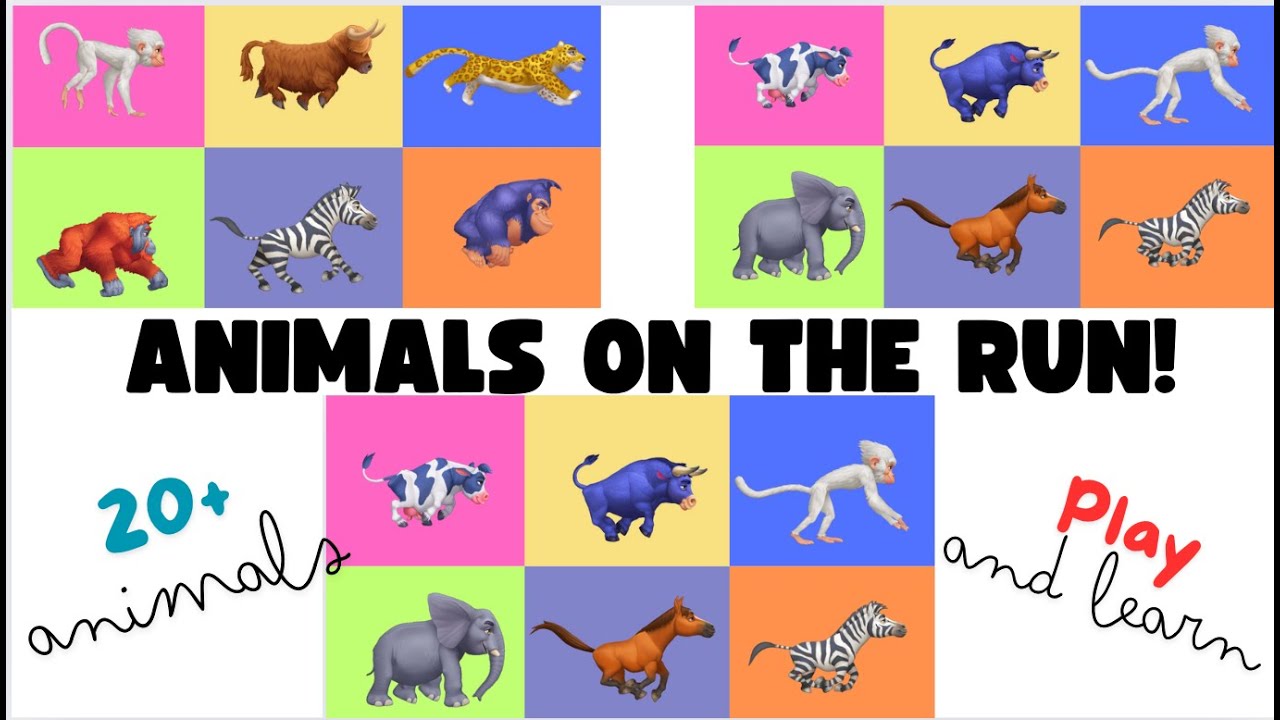 20+Amazing Animals Run song! #kidslearning #kidsrhymeschildrensongs #nurseryrhymes #kidsnurseryrhyme