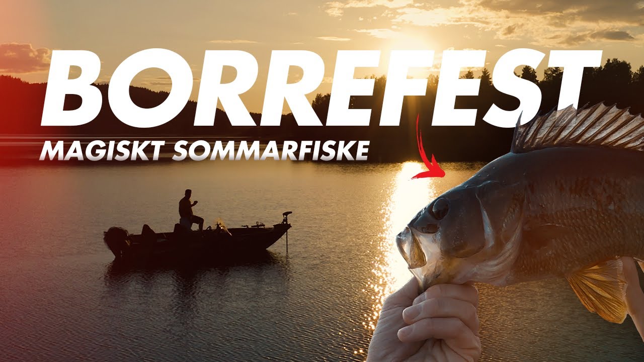 BORREFEST I SOLNEDGÅNG – VLOG⁸