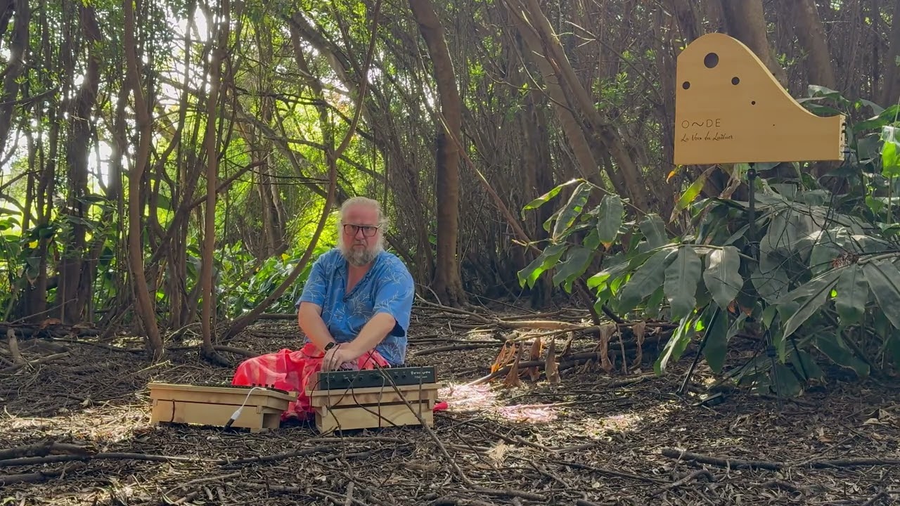 Forest Meditation 2025