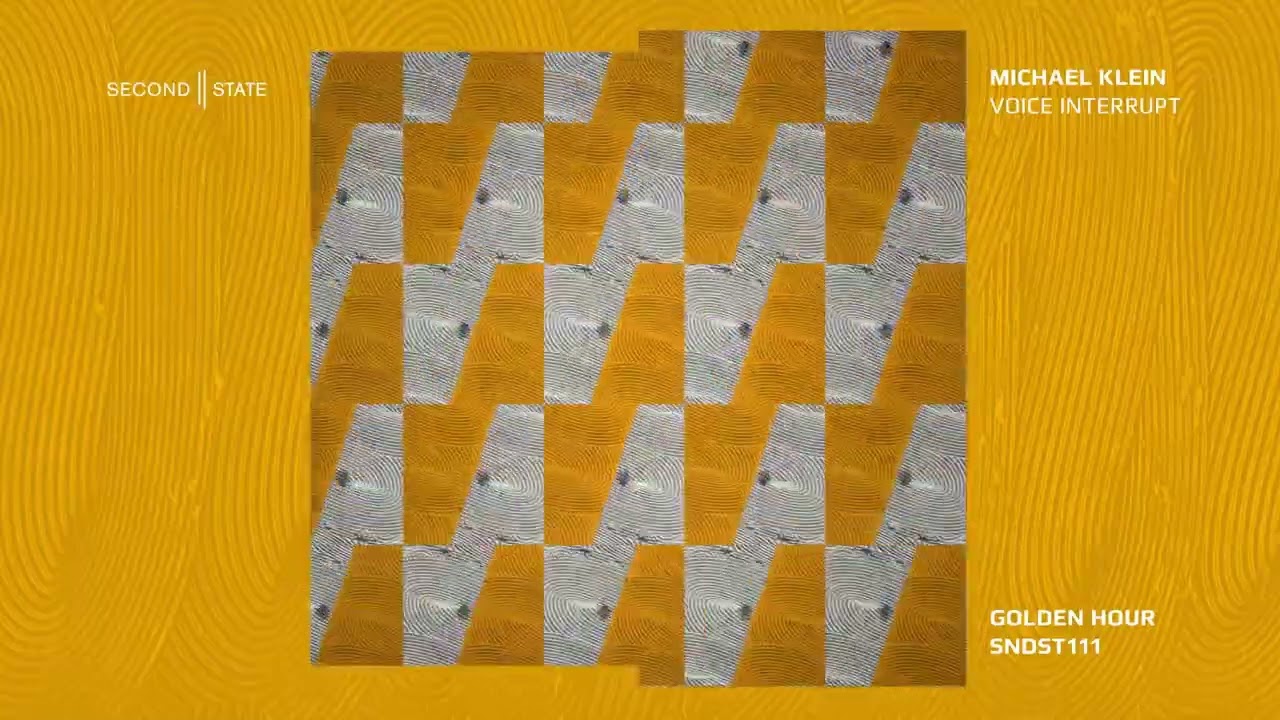 Michael Klein - Voice Interrupt