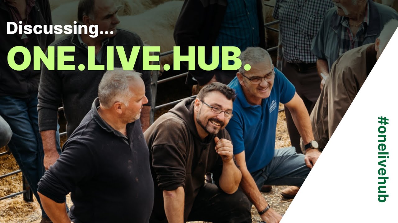 Discussing...ONE.LIVE.HUB