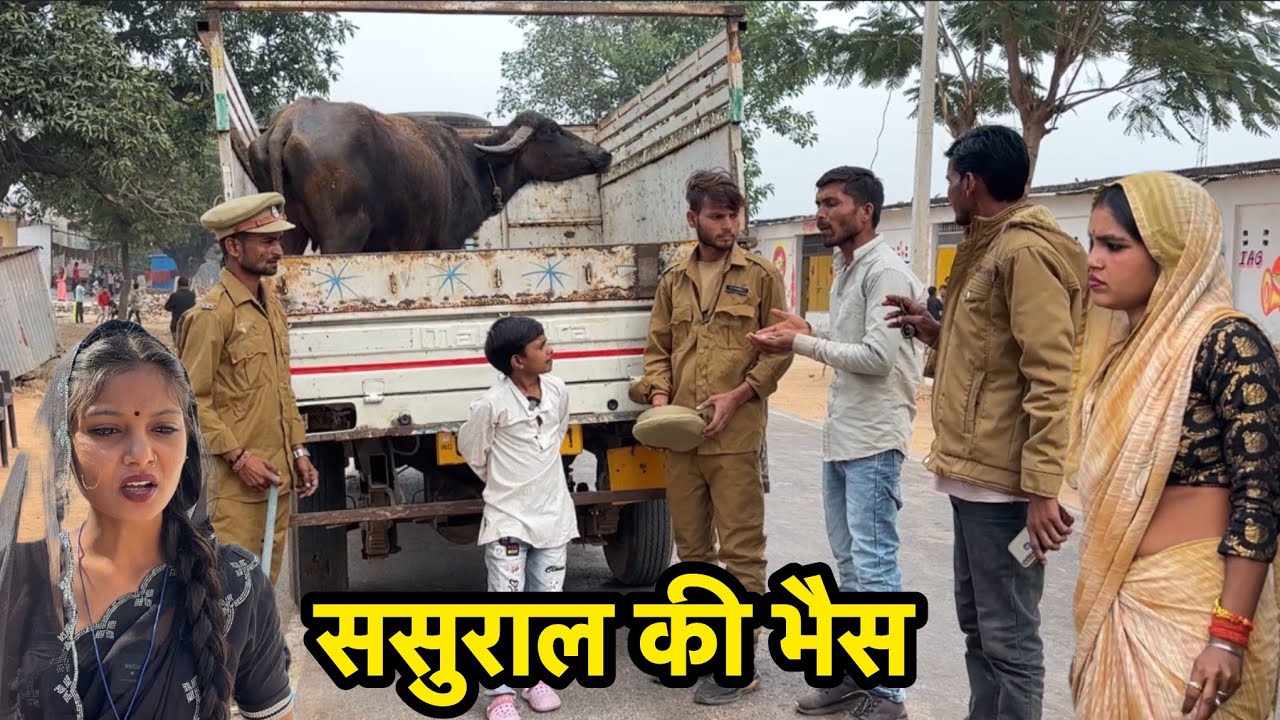 ससुराल की भैस || sasural ki bhais || Pappu ki comedy || total ki comedy 