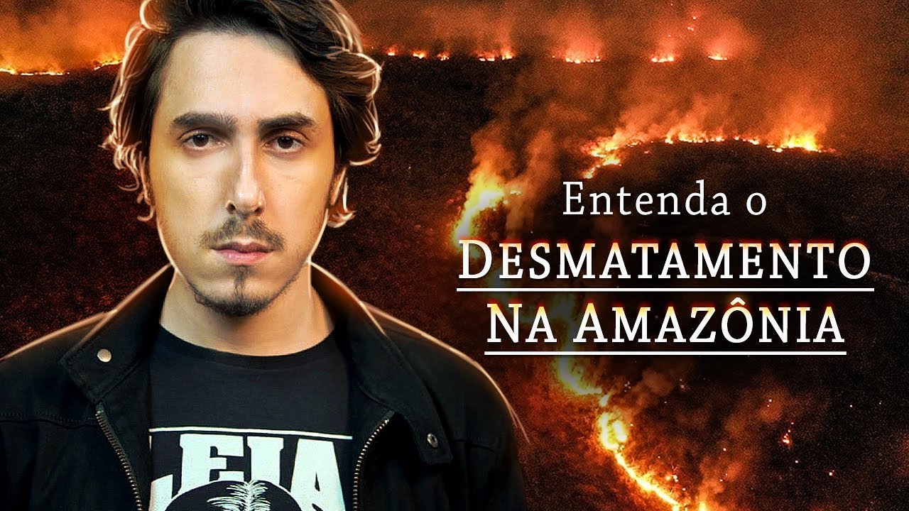 Entenda o Desmatamento na AMAZÔNIA de um jeito SIMPLES