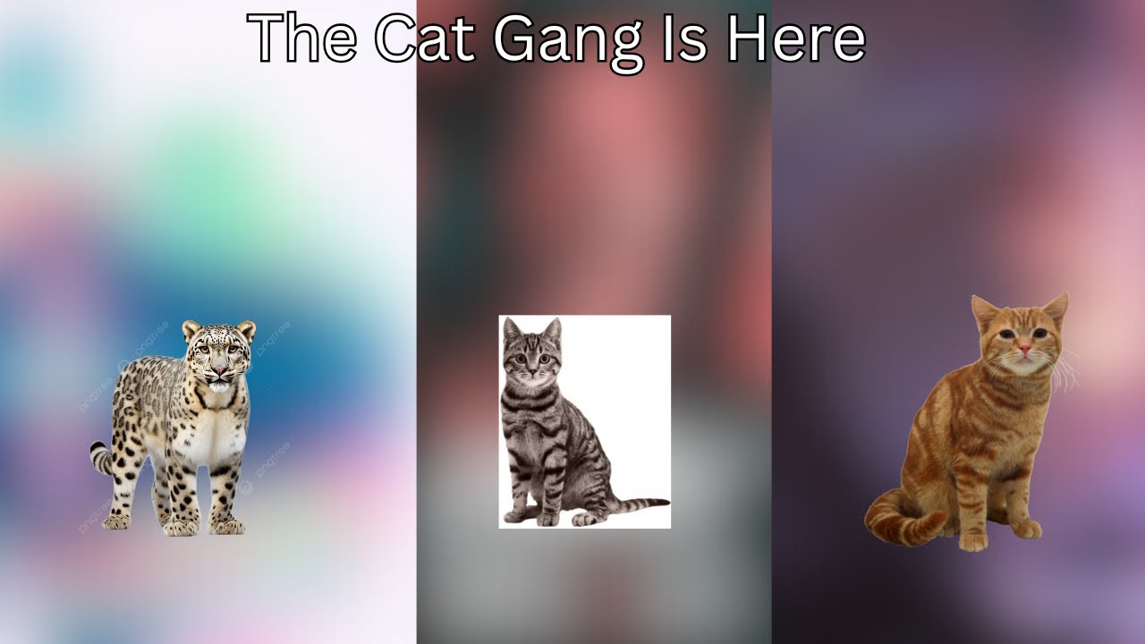 Triple Collab RYS: CatYapz & Extrenor