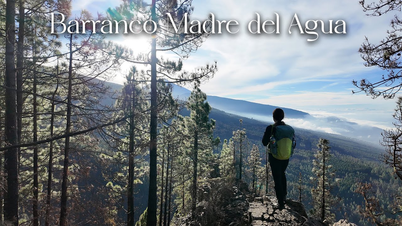 Hiking at the Barranco Madre del Agua in the Orotava Valley | Tenerife