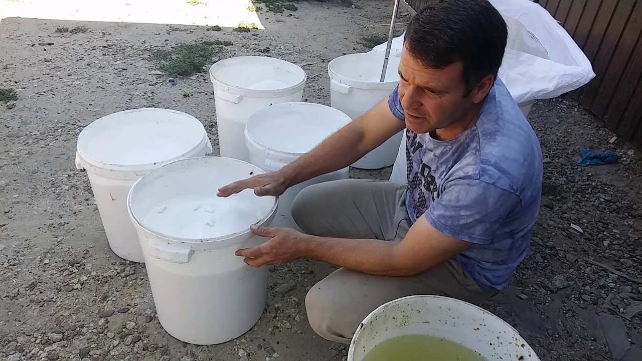 CUM PREGATESC SIROPUL LA ALBINE!