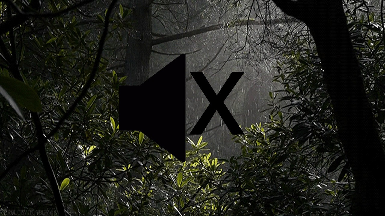 Raining Through The Woods with Gentle Light Shine ~10 Hour Loop With No Sound~