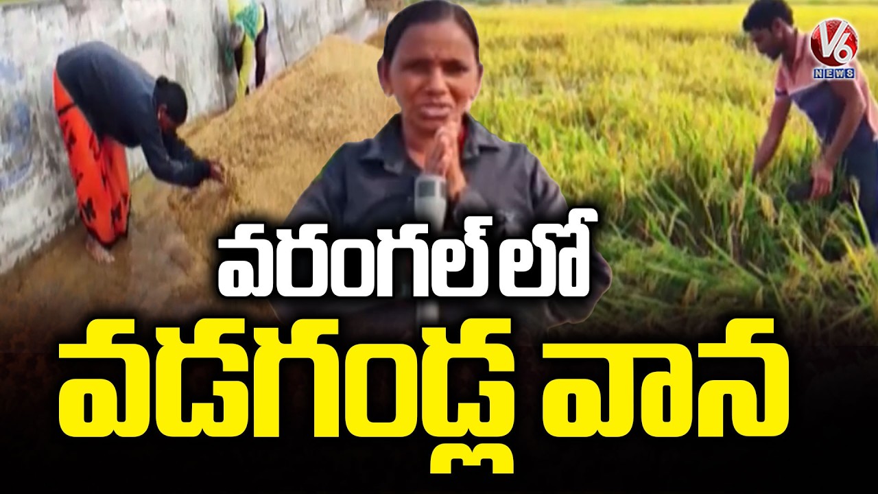 Hailstorm Hits Warangal... Crops Damaged | V6 News