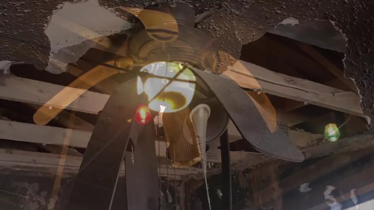 Abused and Dead Ceiling Fans - Volume 2