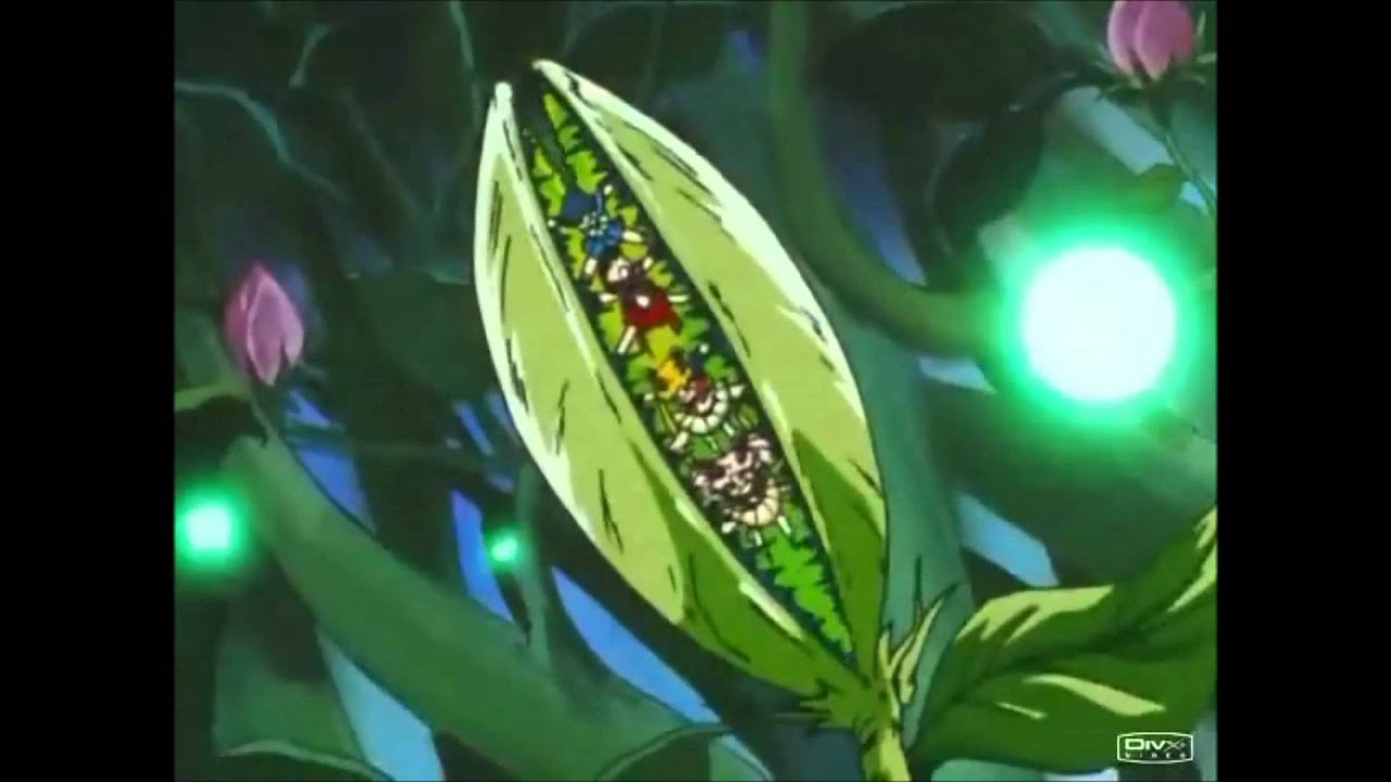 Oak Evolution Multilanguage