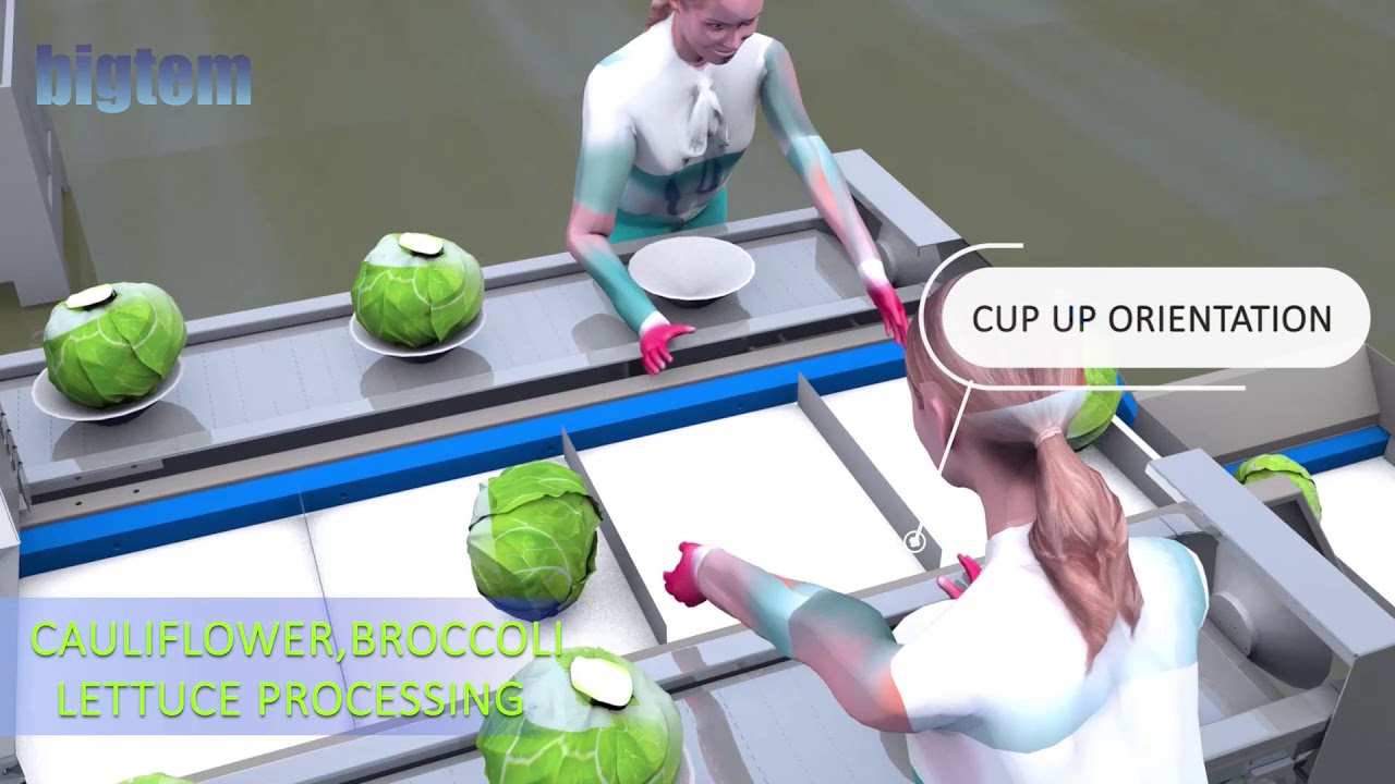 FROZEN VEGETABLES PRODUCTION LINES ANIMATION
