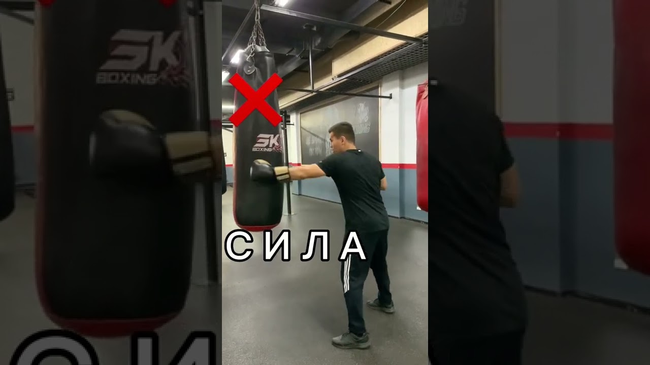 Бокс. Сила 