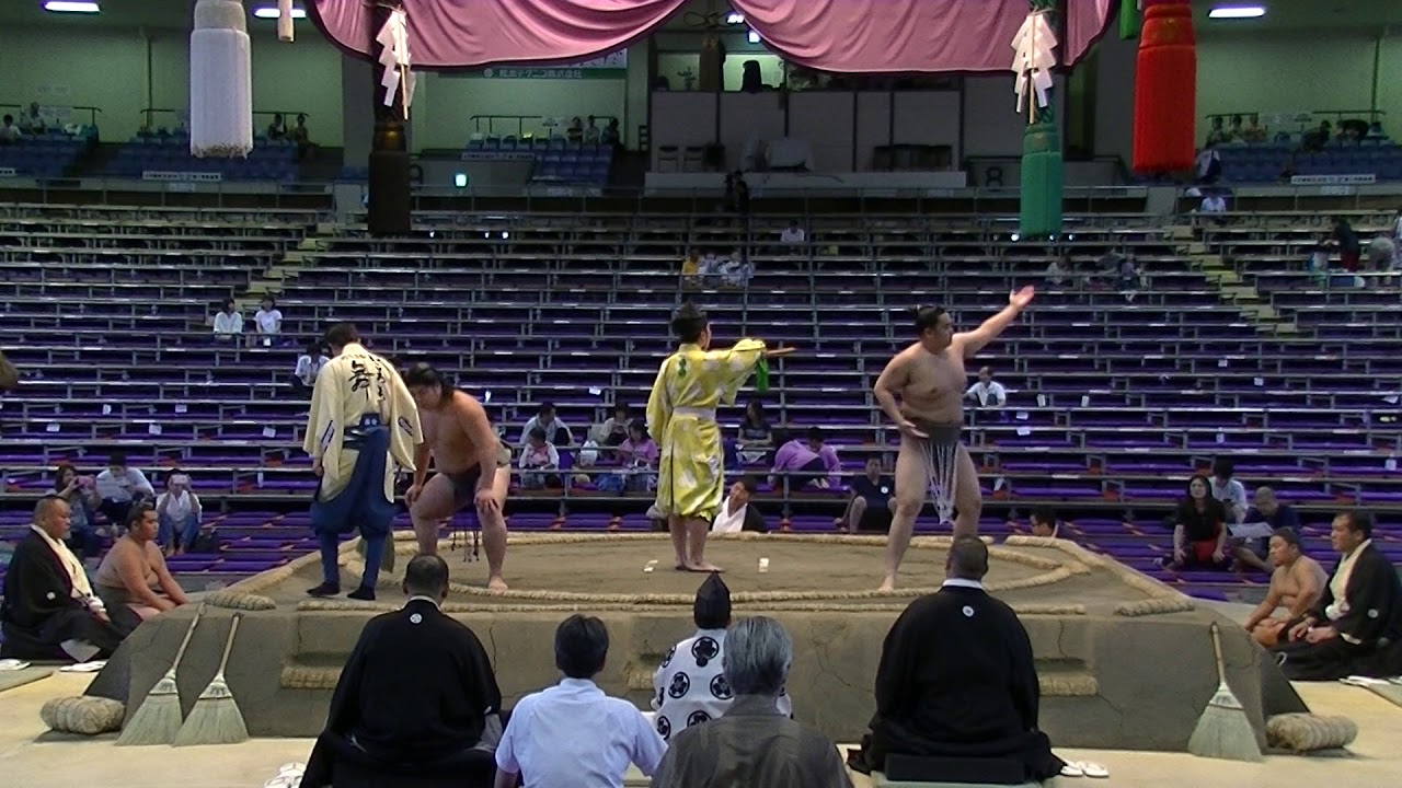 鯱ノ富士　若青雲　序ノ口　中日　名古屋場所