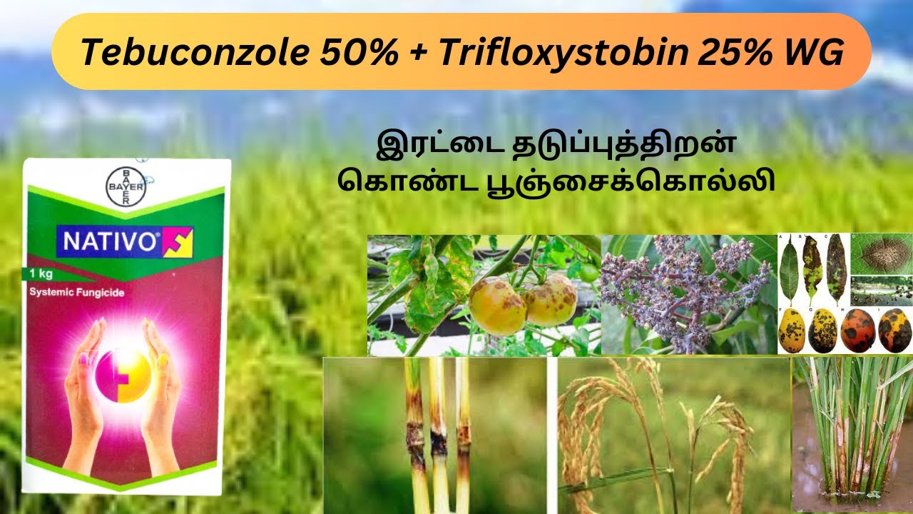 Nativo fungicide | Tamil | Bayer Nativo