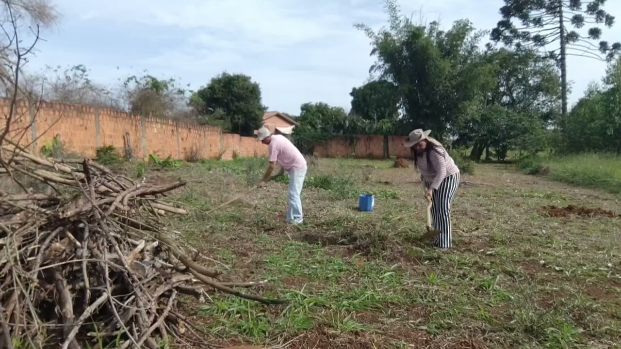 O DIA DE CAPINA A ROÇA 
