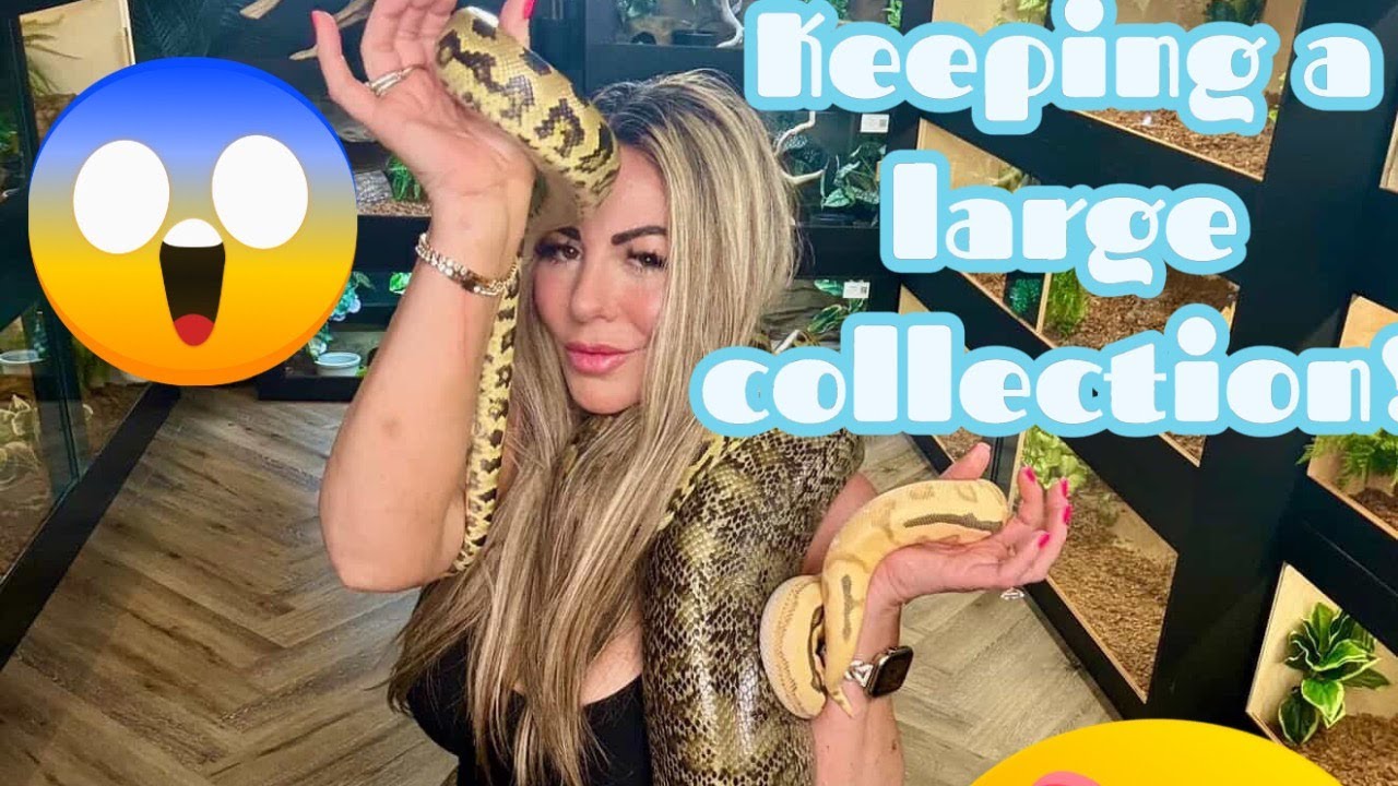 Keeping a large collection| Feat Amber of AZ couture coils! (Episode 16)