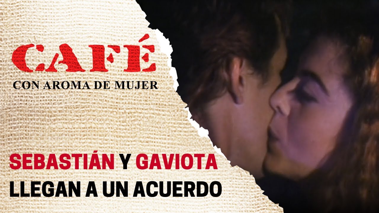 Sebastián y Gaviota deciden ser amigos | Café, con aroma de mujer