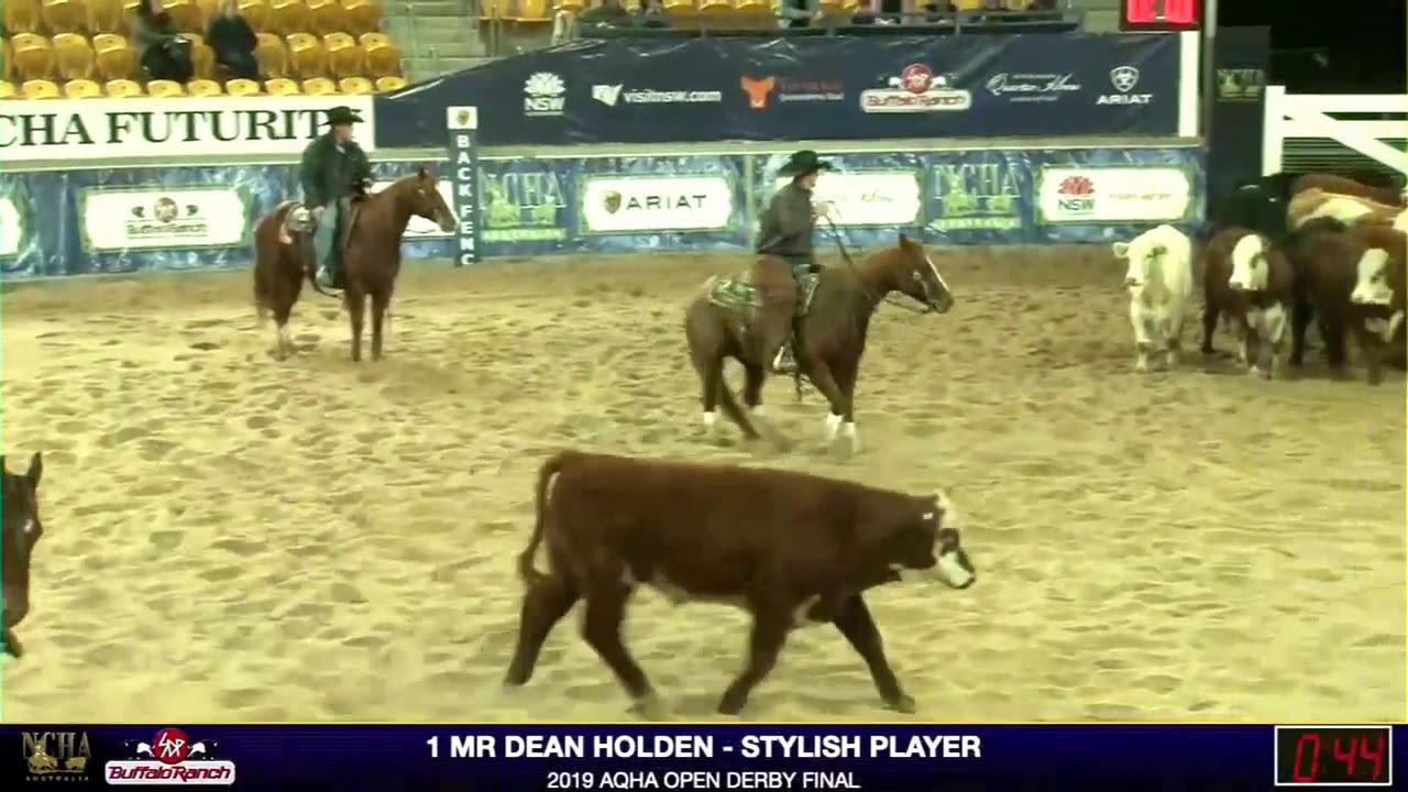 2019  Open Derby Final   Dean Holden & Stylish Player 219