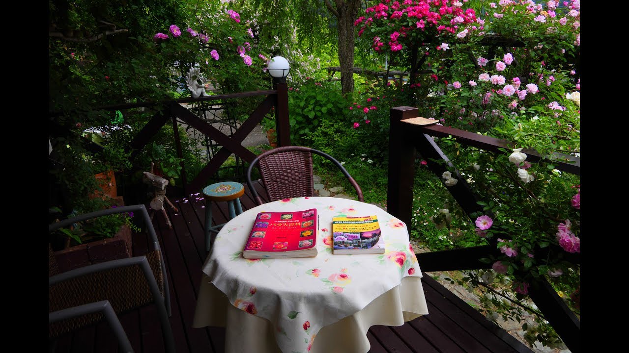 Rose Open Garden,   お薦めです！個人宅のバラのお庭「イージィ山中ガーデン」再訪　(4k)　高知県仁淀川町竹ノ谷