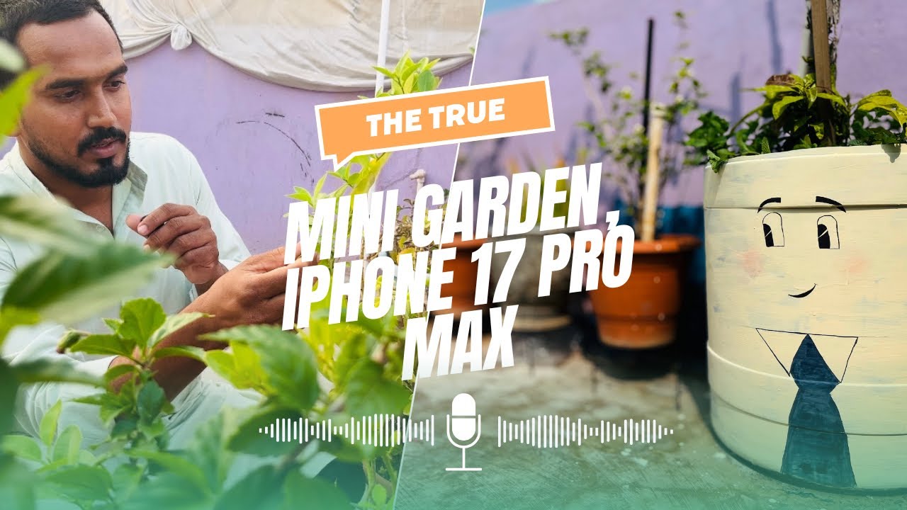 Mini Terrace  Garden | iPhone 17 pro max  ￼#tarracegarden #iphone 