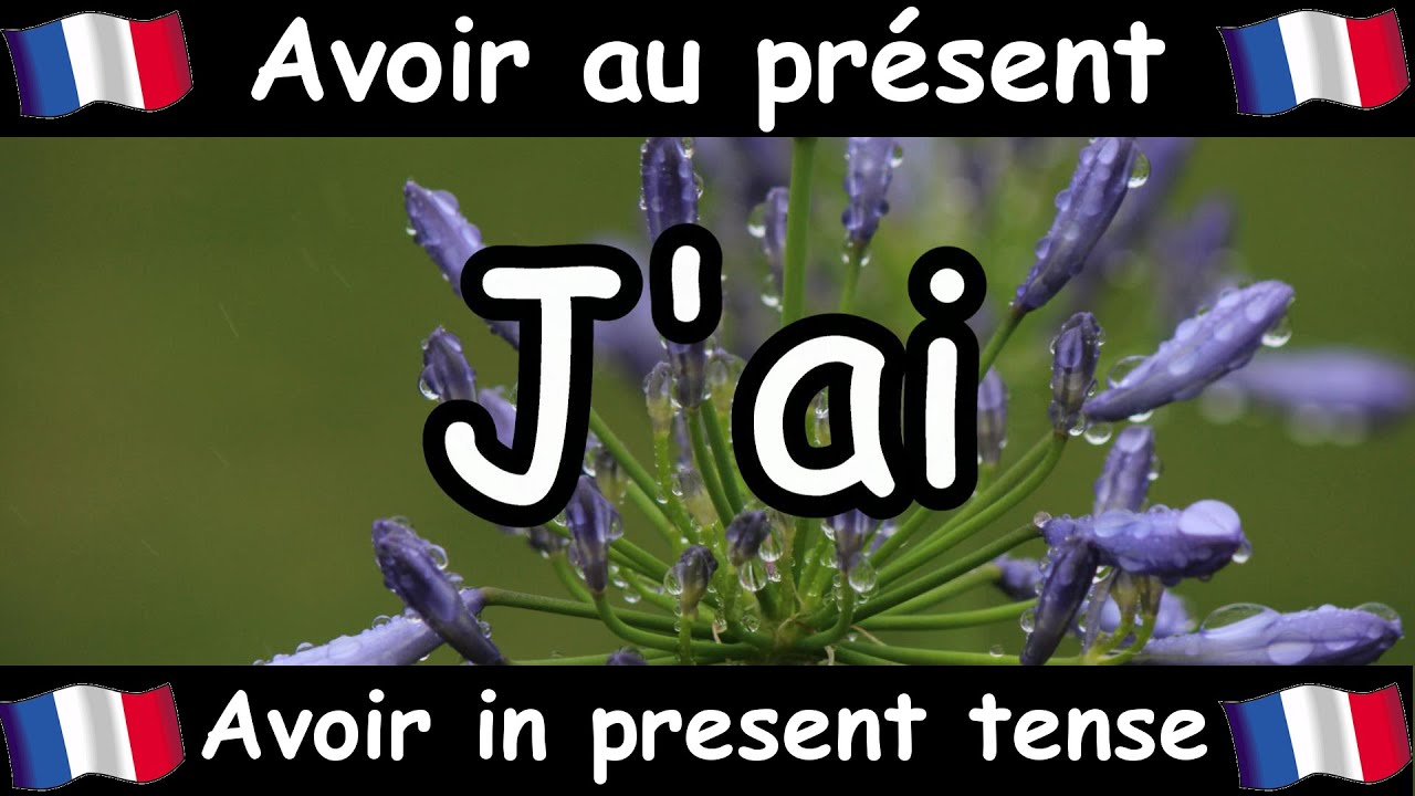 AVOIR (To Have) Conjugation Song - Present Tense - French Conjugation - Le Verbe AVOIR