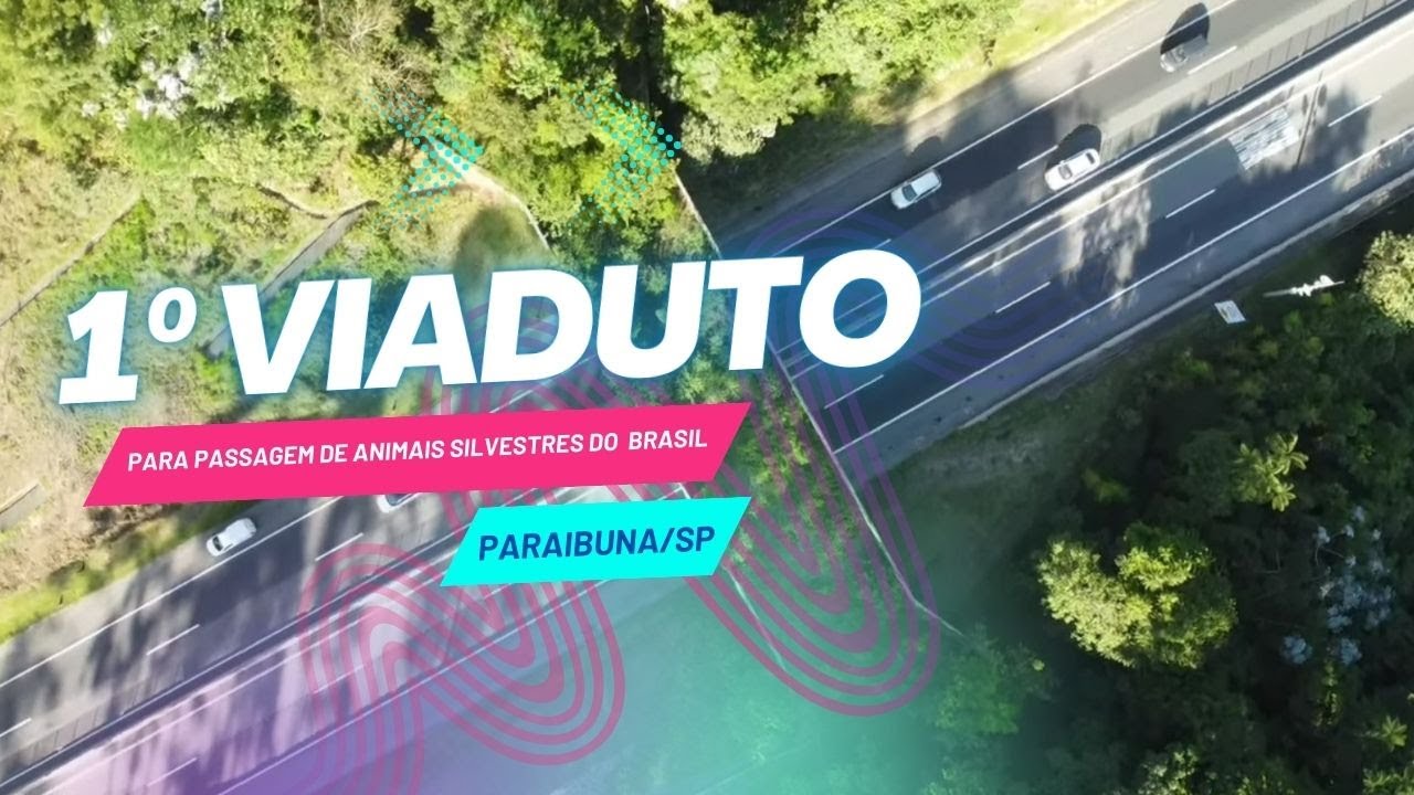 1º Viaduto para PASSAGEM DE ANIMAIS  Silvestres do Brasil I #dronesampa