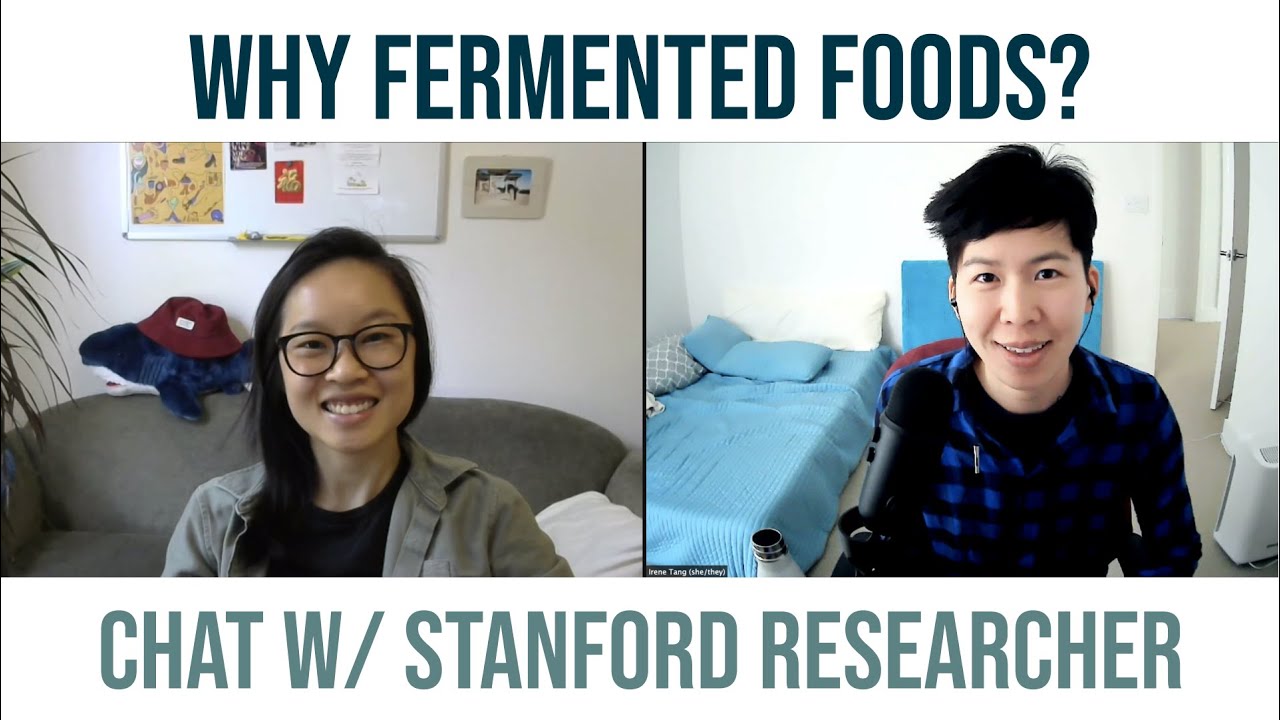 What are fermented foods and why are they so beneficial? The hidden powers of microorganisms!