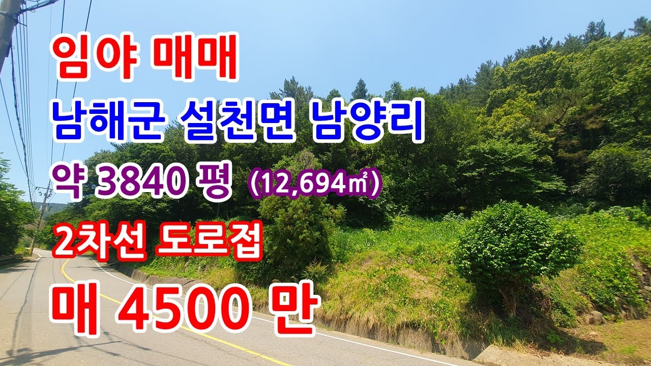 임야매매 남해군 2차선 도로접한 장기투자용 임야매매