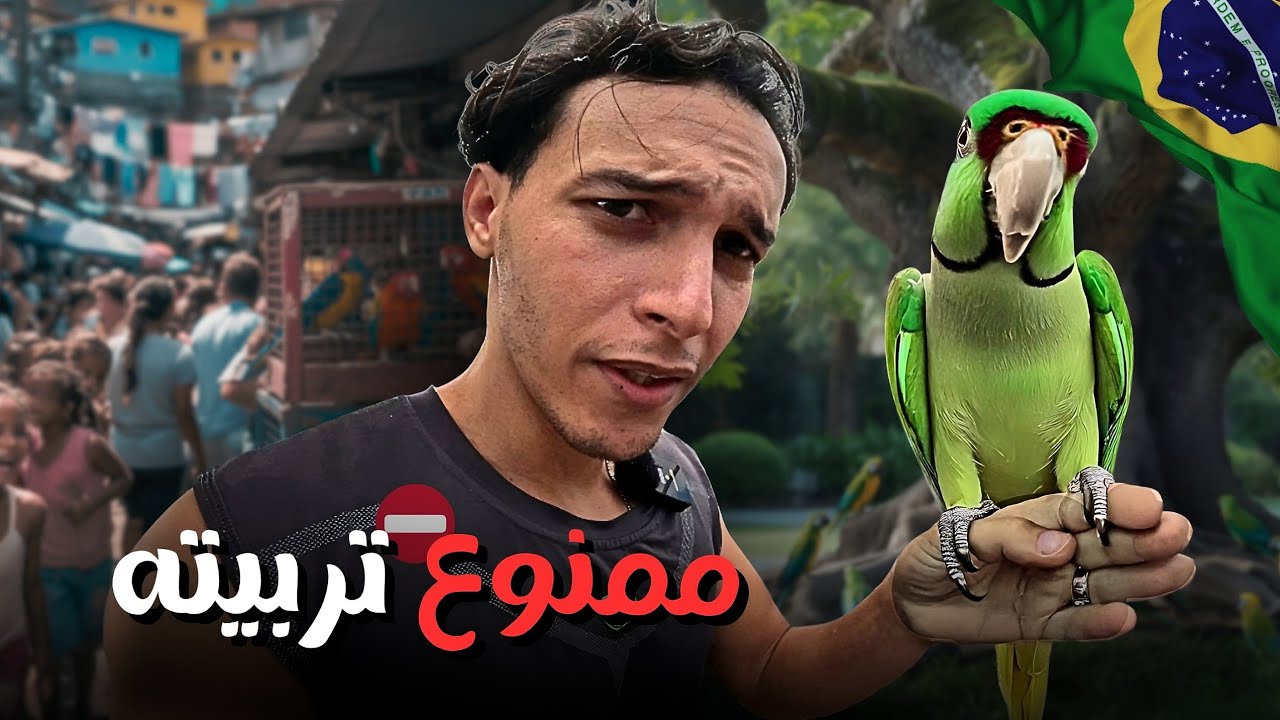لقيت ببغاء أمازوني نادر ممكن يورطني | إشتريت له قفص من سوق الفافيلا