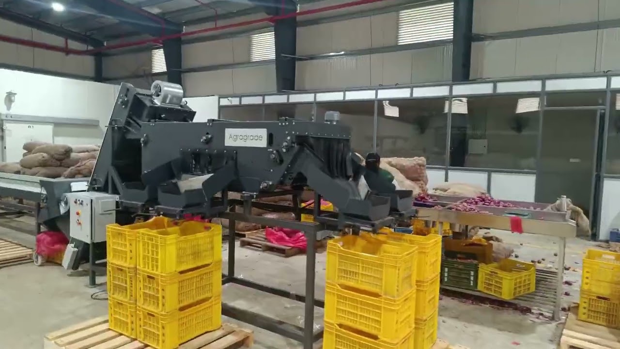 Onion Grading Machine | कांदा ग्रेडिंग मशीन