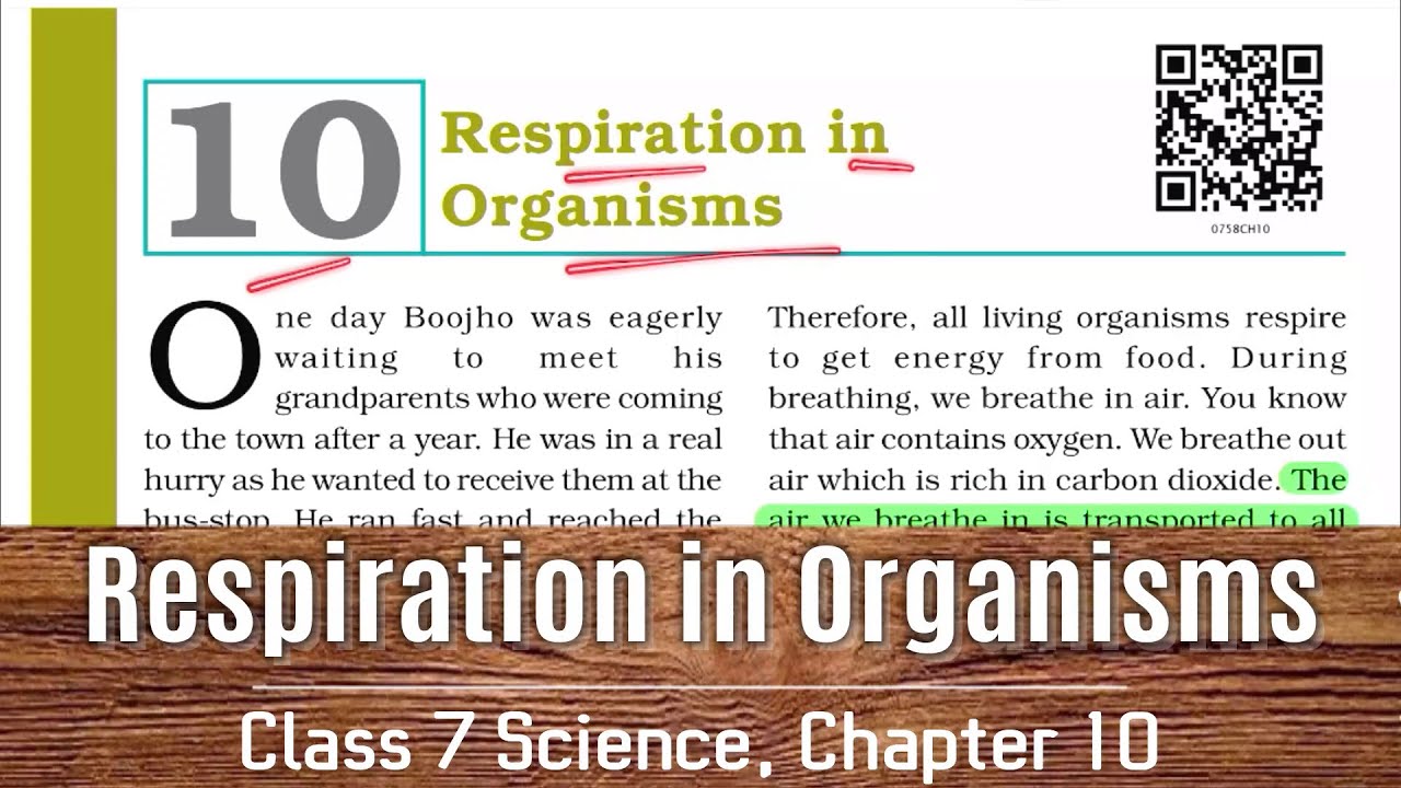 Class 7 Science Chapter 10 | NCERT | Respiration in Organisms