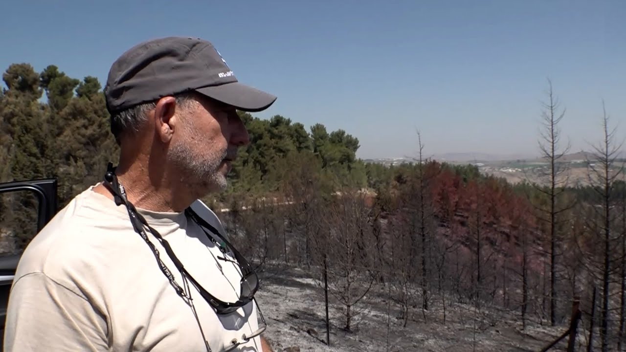 לבד מול האש: חקלאי הצפון מתמודדים עם השריפות והחיים בשדה קרב