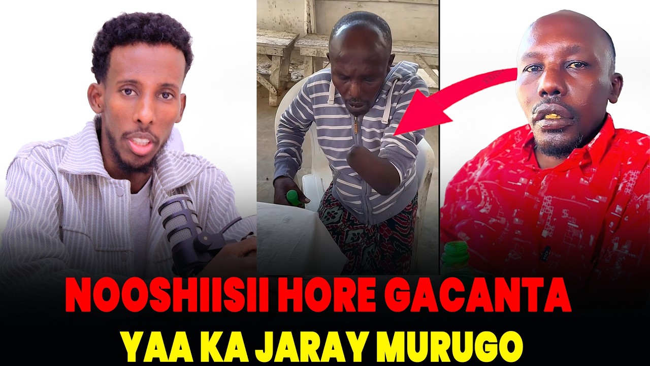 QISADA AHMED GACANTA WAXA KA JARAY NIN LACAG BAAD AH KA RABAY ASAGA OO SHAQEESA NAYA CAFI WALALKA…..