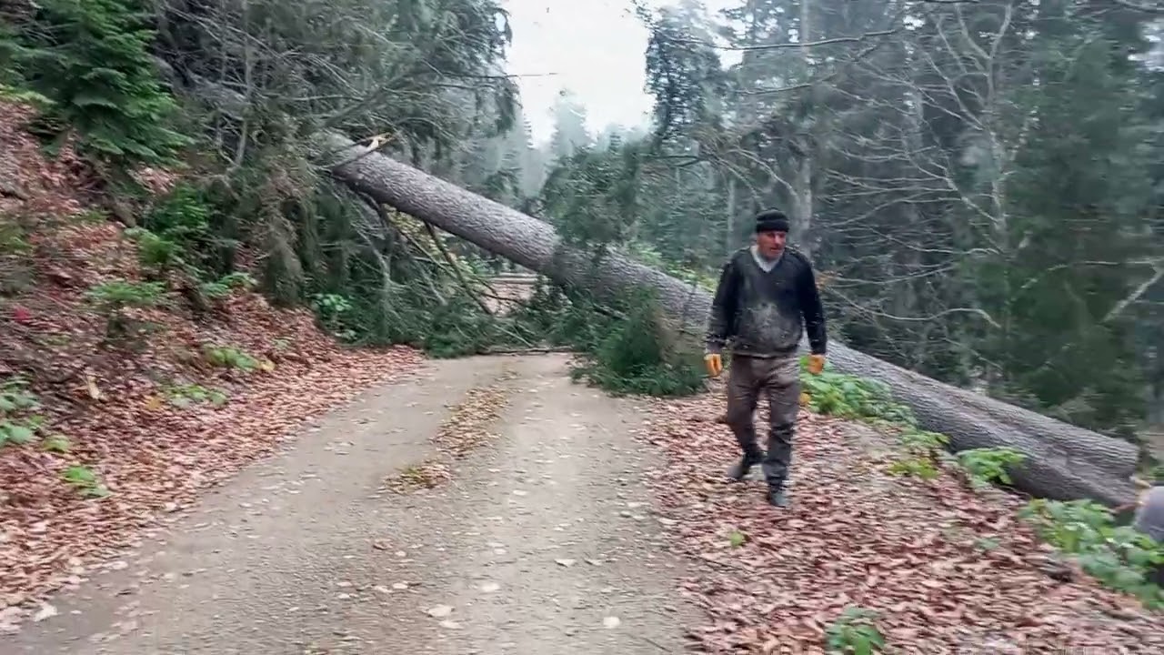 16 Kasım 2025