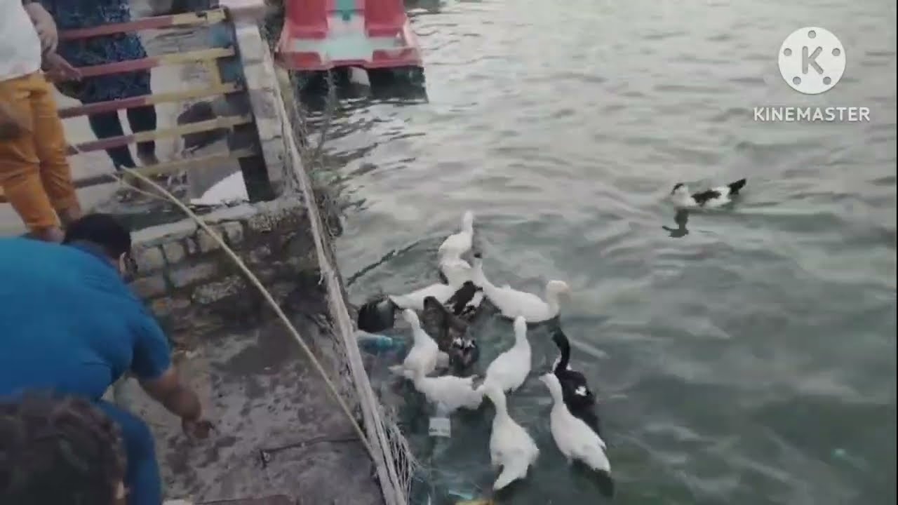 ريفيو#خان خديجة أكوا بارك 💯 اكتشف منتجع خان خديجة👍 يوم ممتع في خان خديجة 🤜