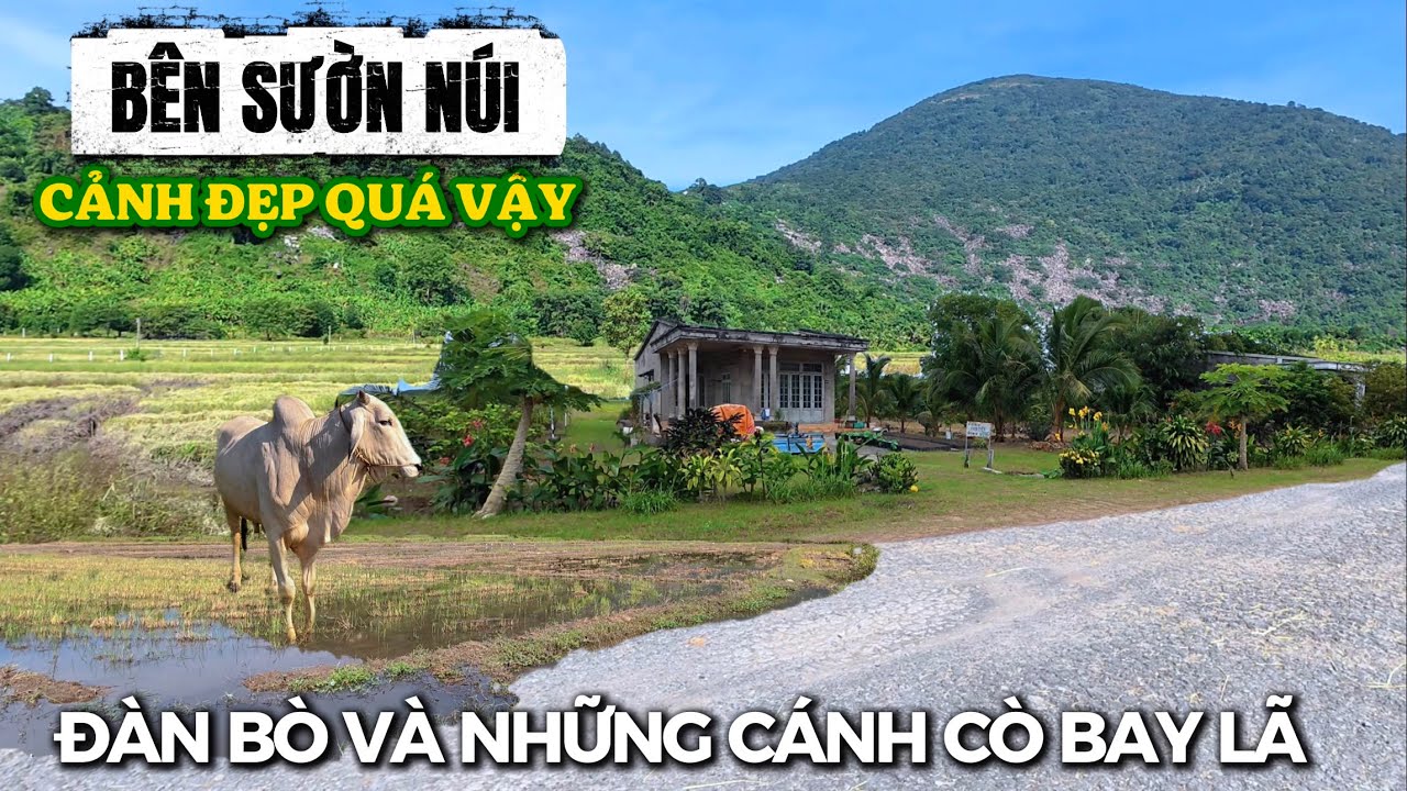Bạn Đã Tới Nơi Này Chưa. ''Bên Sườn Núi'' Cảnh Đẹp Như Tranh - ĐI NÚI BÀ ĐEN ĐIỂM ÍT NGƯỜI BIẾT TỚI.