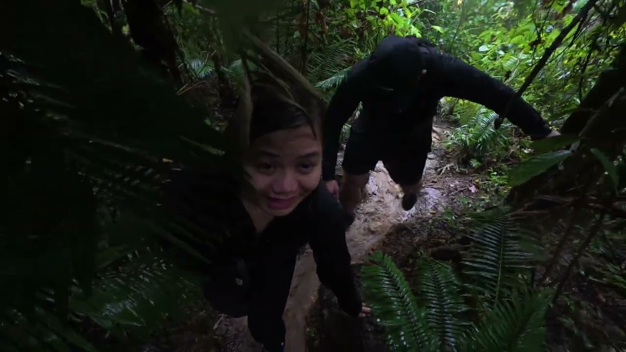 Rain trail #djiosmonano #hiking 