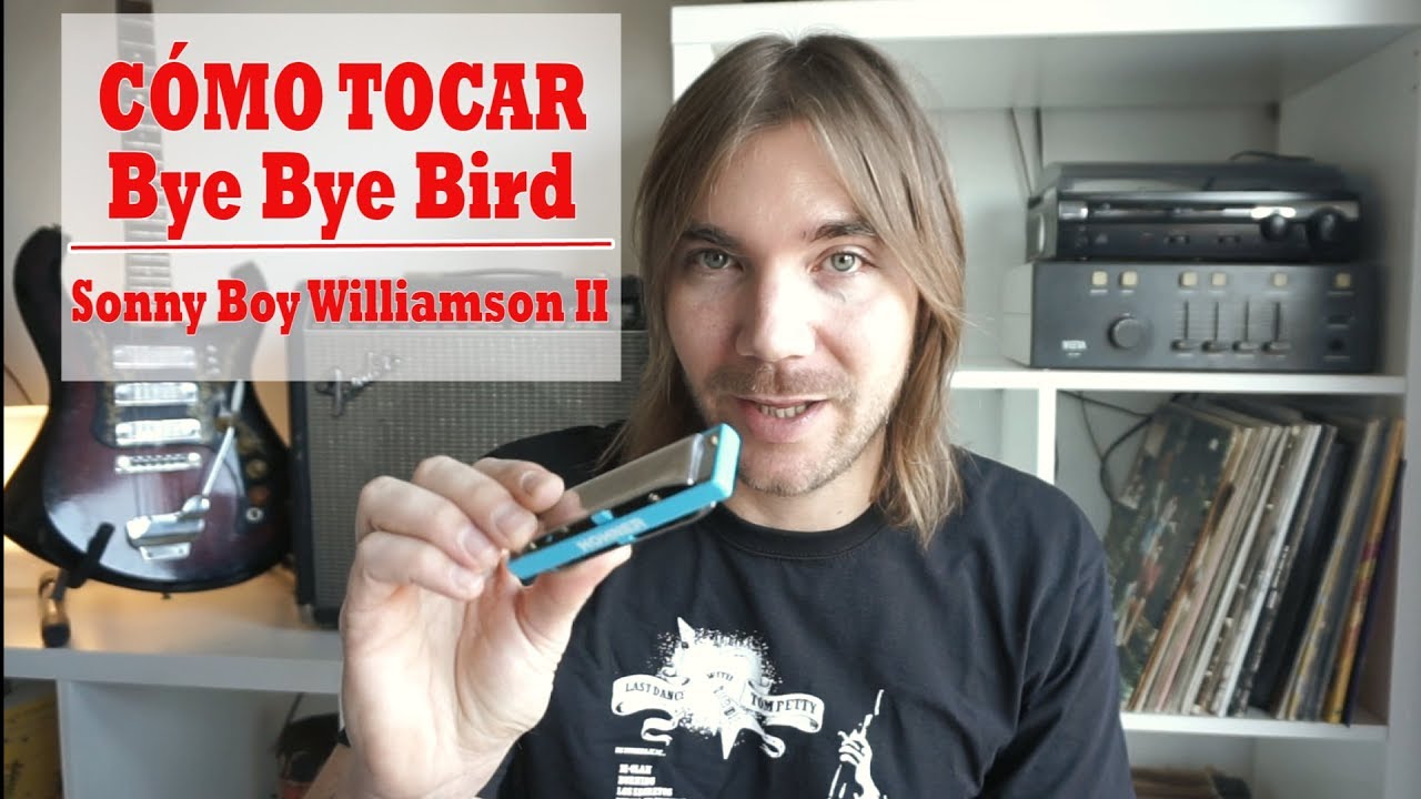 Cómo tocar Bye Bye Bird - Sonny Boy Williamson II - Armónica C Low