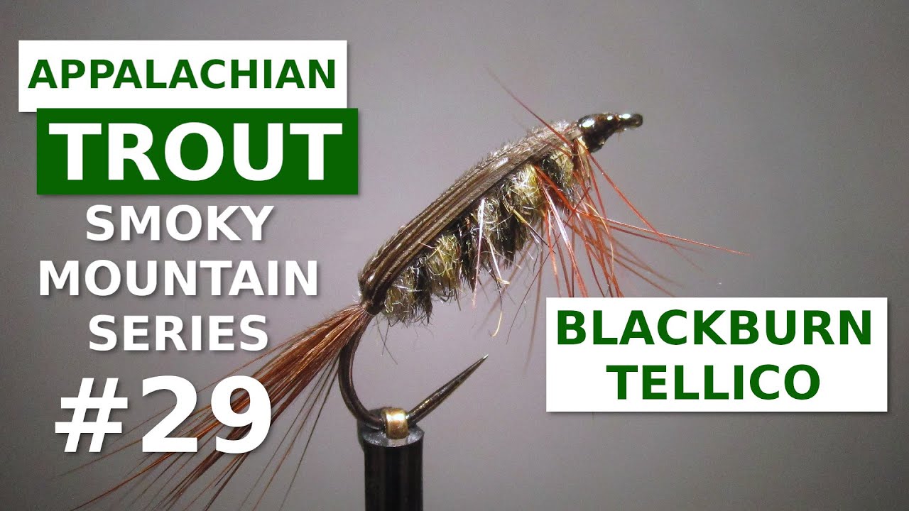 Blackburn Tellico Nymph - Fly Tying Appalachian/Great Smoky Mountain Trout Patterns
