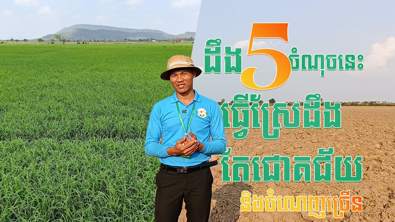 ចង់ធ្វើស្រែឱ្យជោគជ័យ និងចំណេញច្រើន ស្ដាប់ ៥ចំណុចក្នុងវីដេអូនេះ 🏆🦩