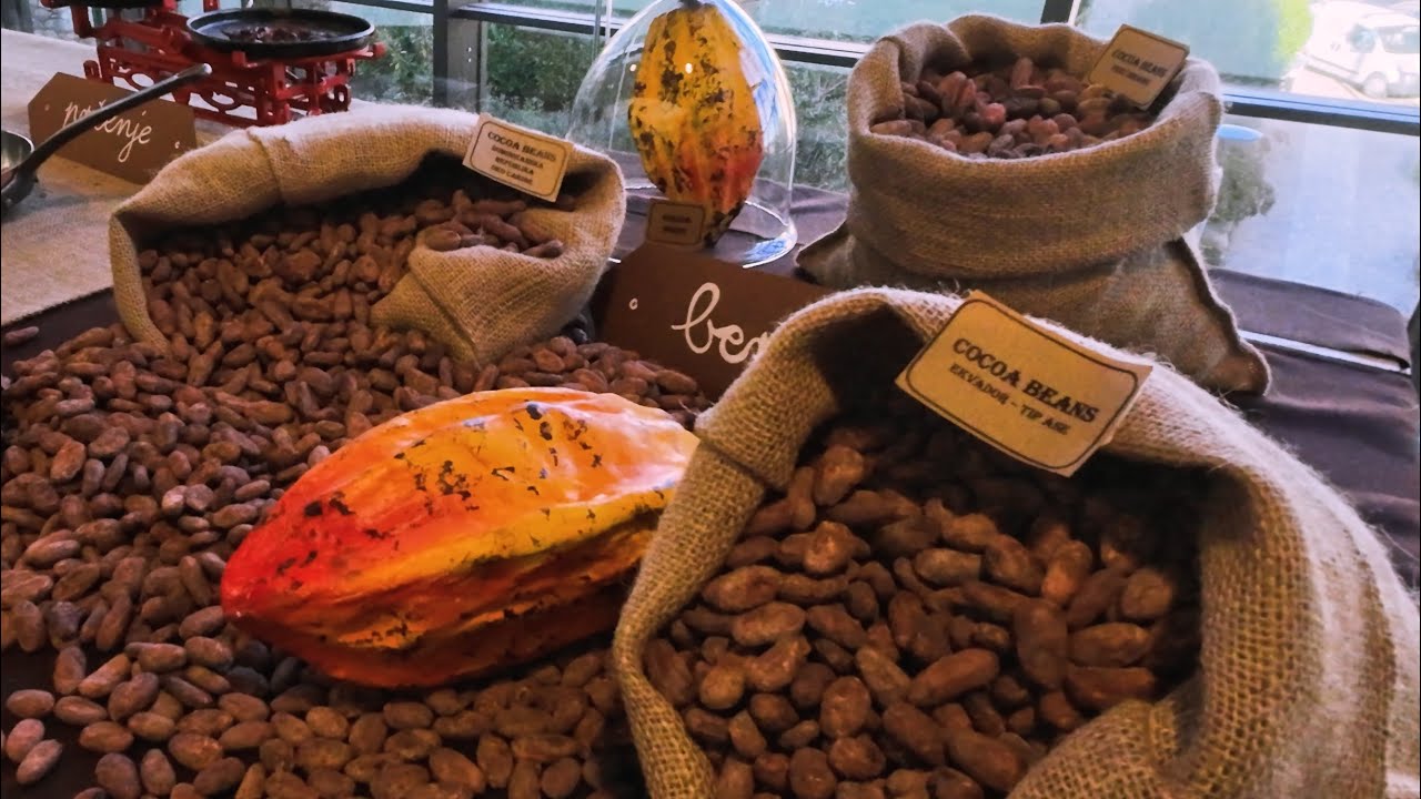 How chocolate is made. Chocolate exhibition in Opatija, Croatia