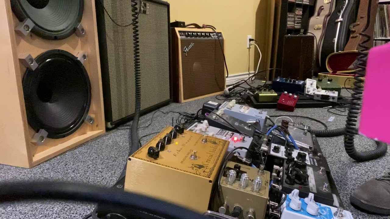 Crucial Audio Echo Nugget