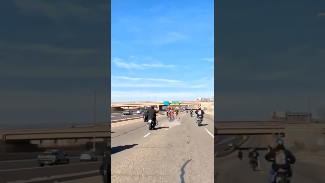 Biker Wipes Out Trying Wheelie in ABQ 😬