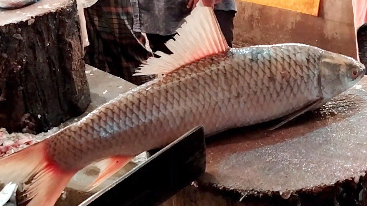 Mrigal Fish Cutting Video In Fish Market | Fillet Fish Skills